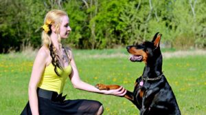 Blog blog07 free img