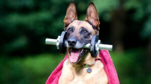 Blog blog08 free img