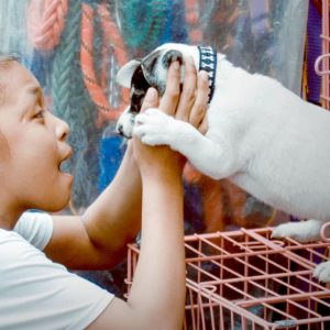 Blog Not Just Humans Need Home
